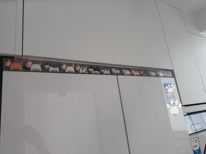 这6个补救小妙招没花什么钱却解决了问题pg电子免费试玩模拟器嵌入式冰箱遗憾(图14)